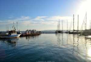 barche ortigia sicilia porto